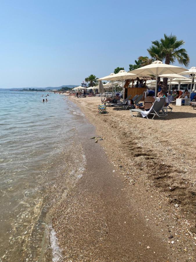 B6 Coquette Daire Néa Khilí Dış mekan fotoğraf